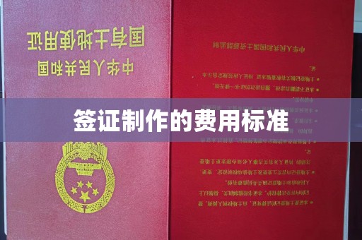 静宁签证制作的费用标准