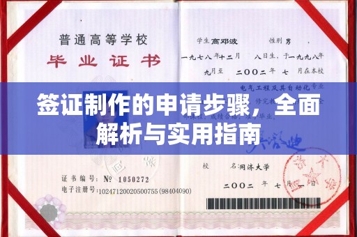 静宁签证制作的申请步骤，全面解析与实用指南