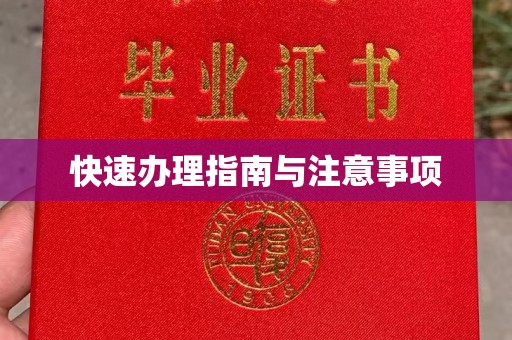 静宁快速办理指南与注意事项